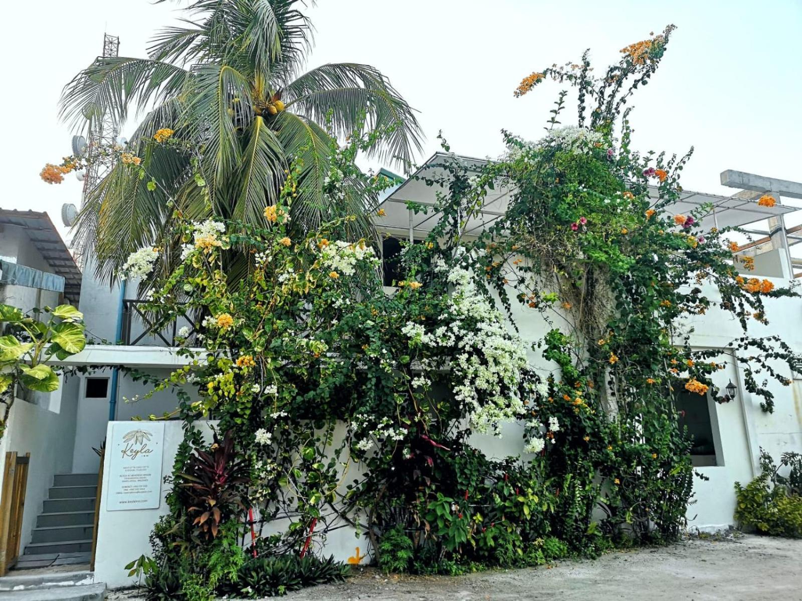 Keyla Inn Thulusdhoo Bagian luar foto